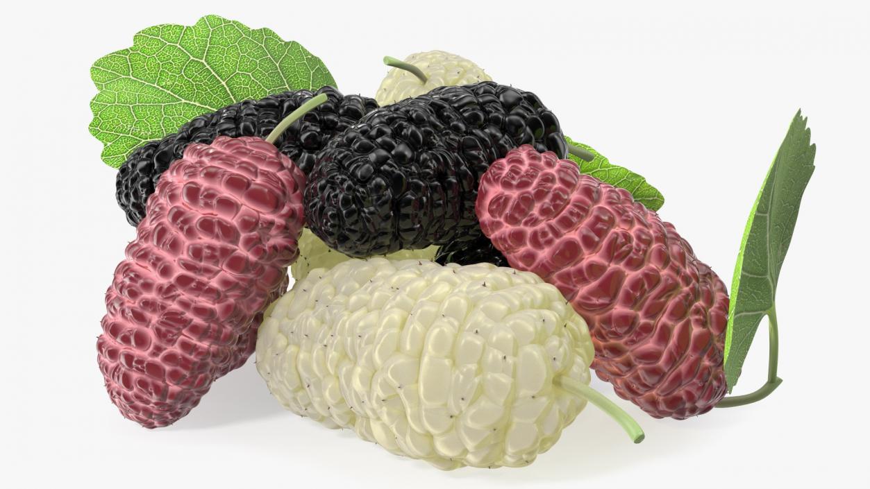 Pile of Mulberry Fruit 3D