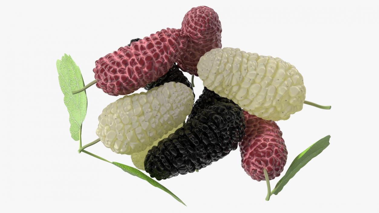 Pile of Mulberry Fruit 3D