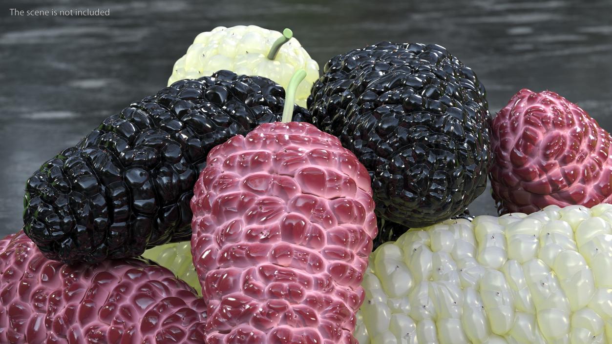 Pile of Mulberry Fruit 3D