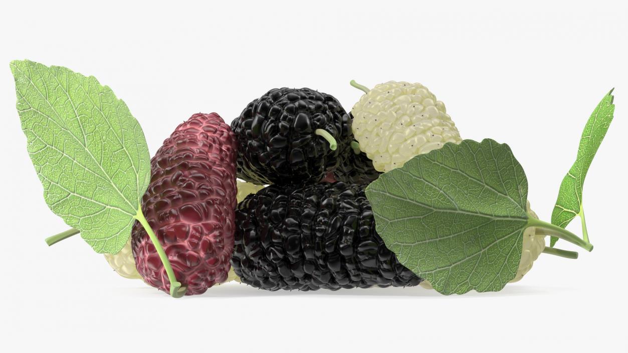 Pile of Mulberry Fruit 3D