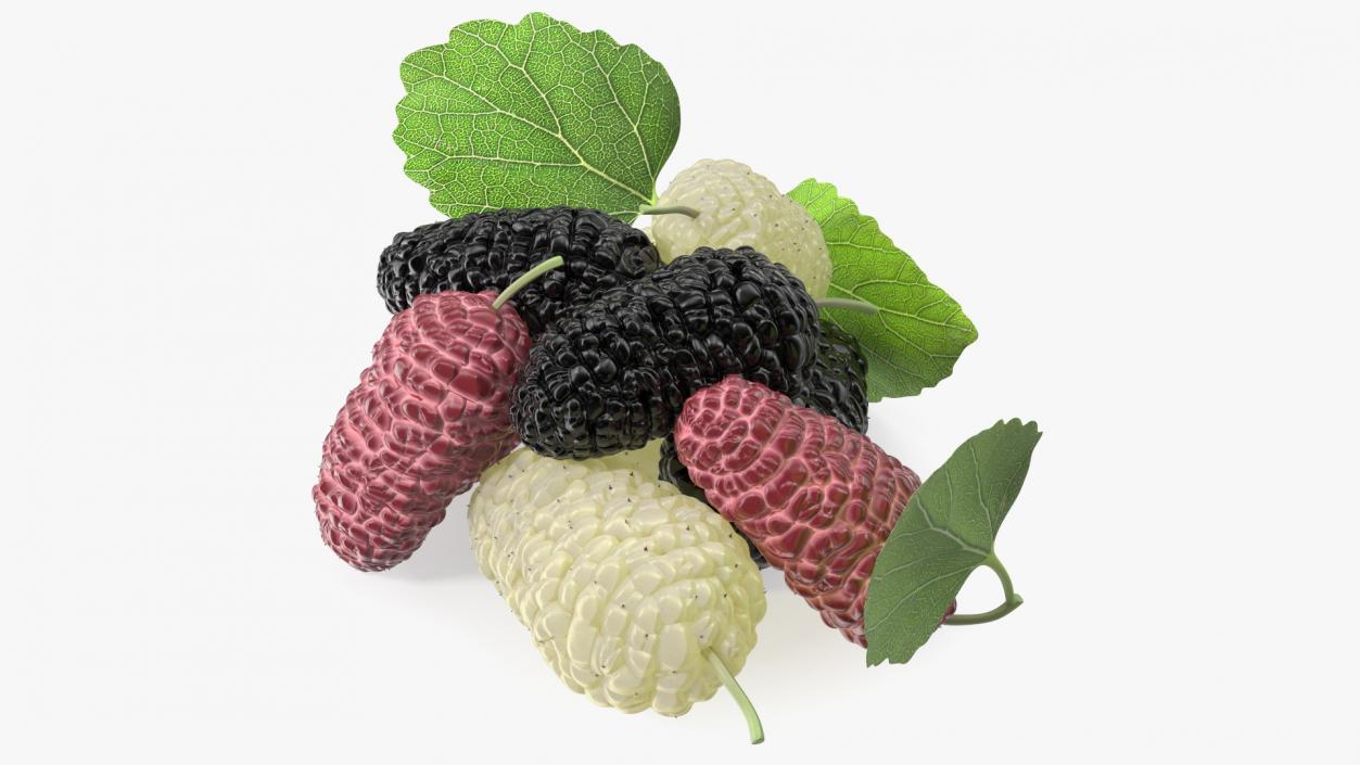 Pile of Mulberry Fruit 3D