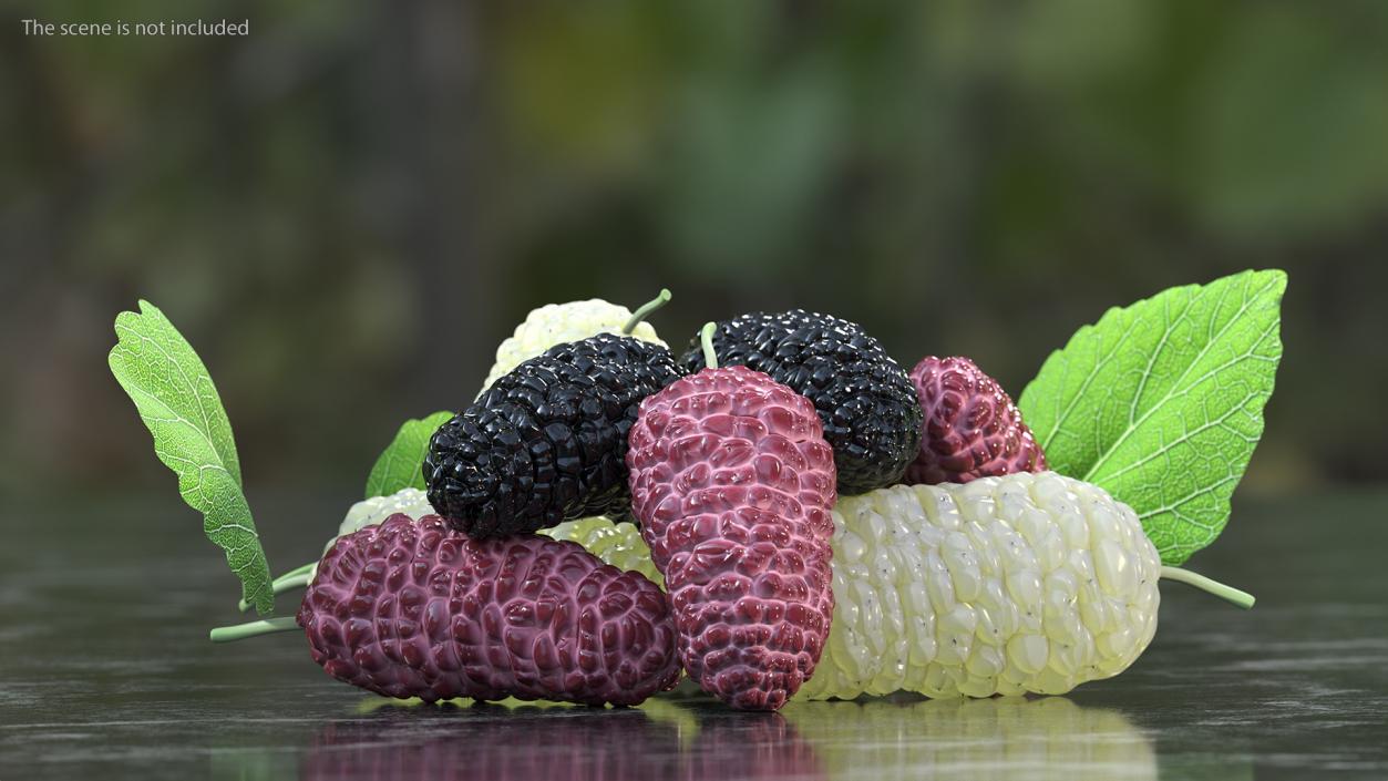 Pile of Mulberry Fruit 3D