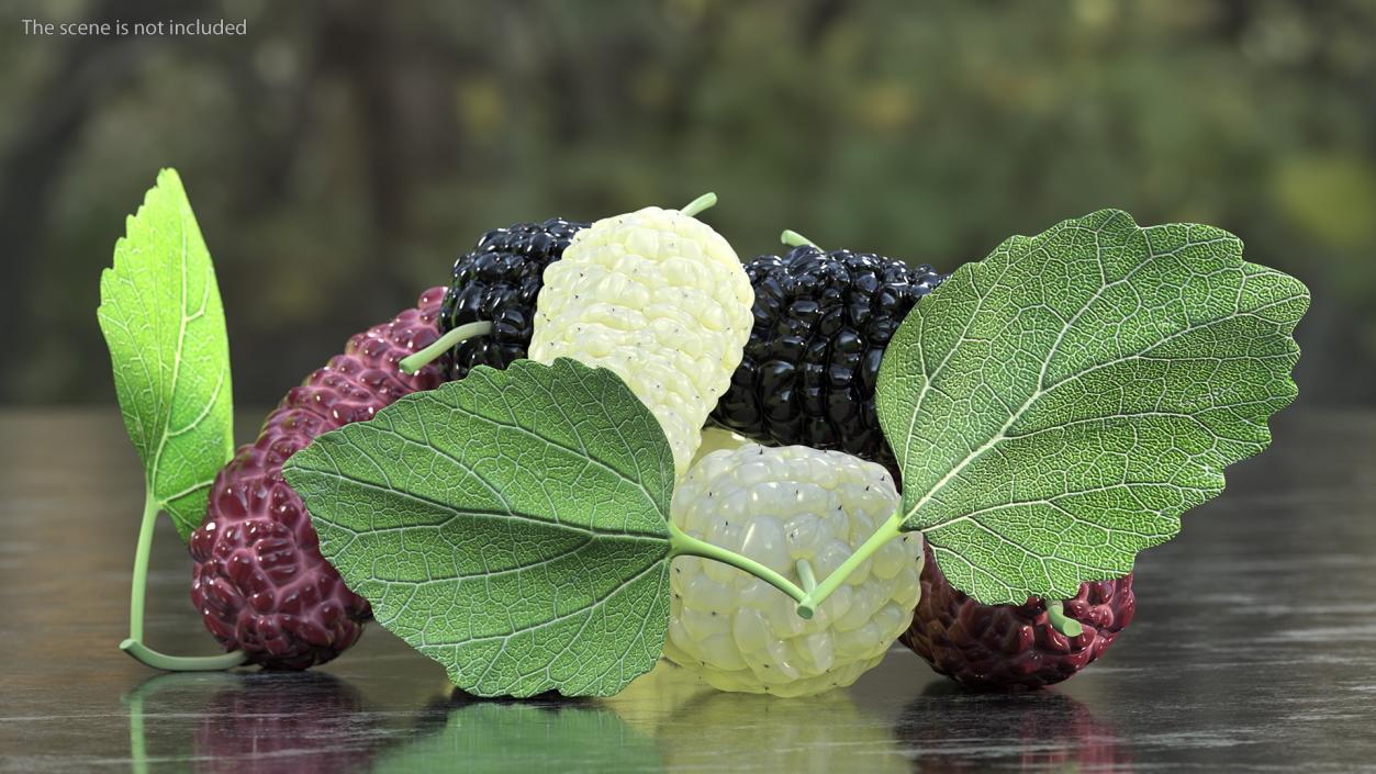 Pile of Mulberry Fruit 3D