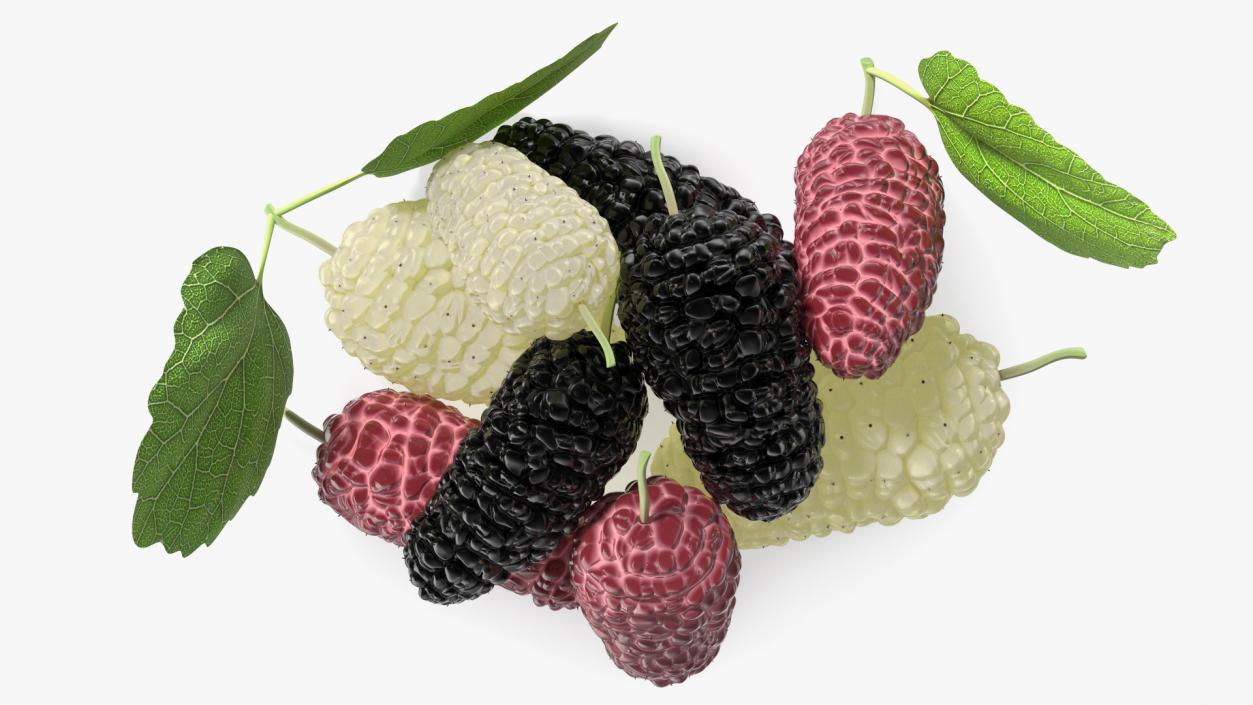 Pile of Mulberry Fruit 3D