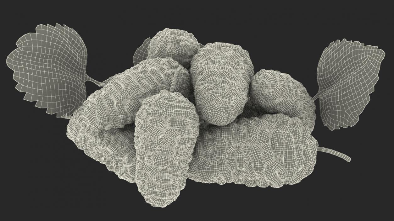 Pile of Mulberry Fruit 3D