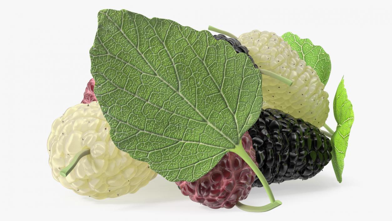 Pile of Mulberry Fruit 3D