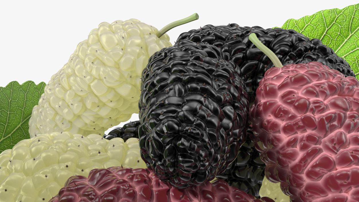 Pile of Mulberry Fruit 3D