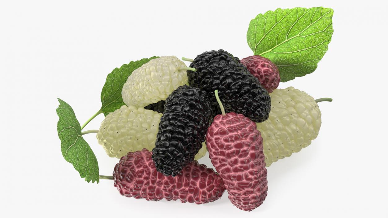 Pile of Mulberry Fruit 3D