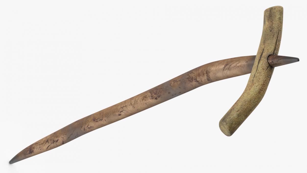 3D Ancient Digging Stick Tool