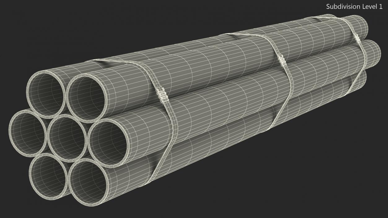 Thick Plastic Pipes Bundle 2 Meters 2 3D