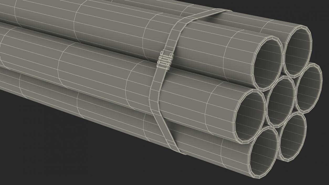 Thick Plastic Pipes Bundle 2 Meters 2 3D