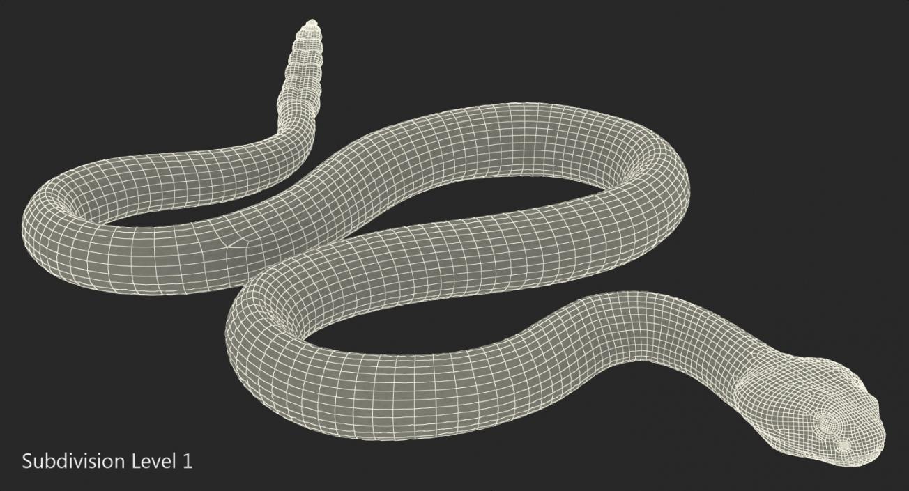 3D Rattlesnake Rigged model