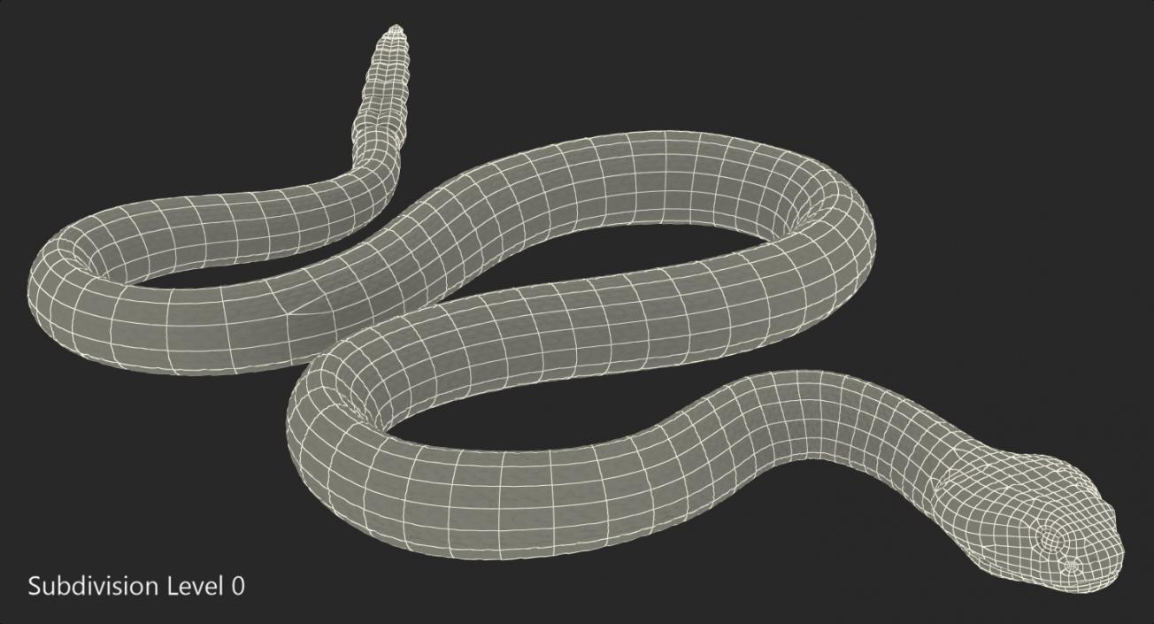 3D Rattlesnake Rigged model