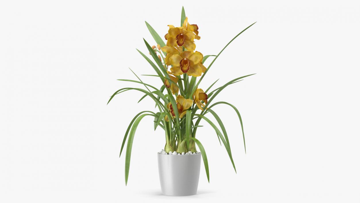 3D Orchid Pot Flower Yellow Fur model