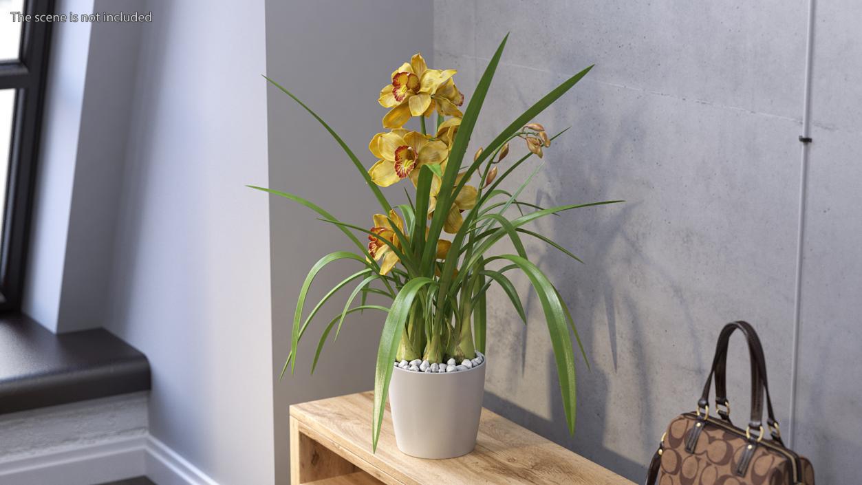 3D Orchid Pot Flower Yellow Fur model