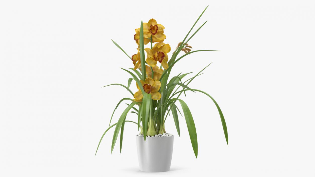 3D Orchid Pot Flower Yellow Fur model