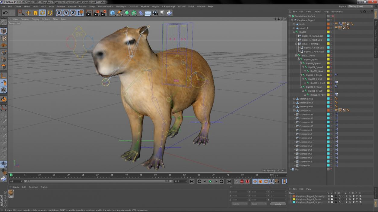 Capybara Rigged for Cinema 4D 3D model