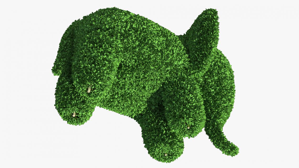 3D Elephant Topiary Garden Sculpture model