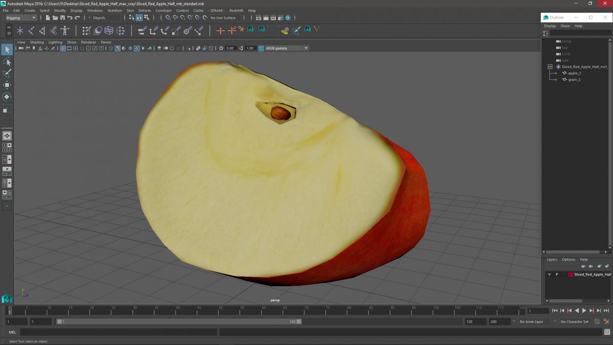 3D Sliced Red Apple Half