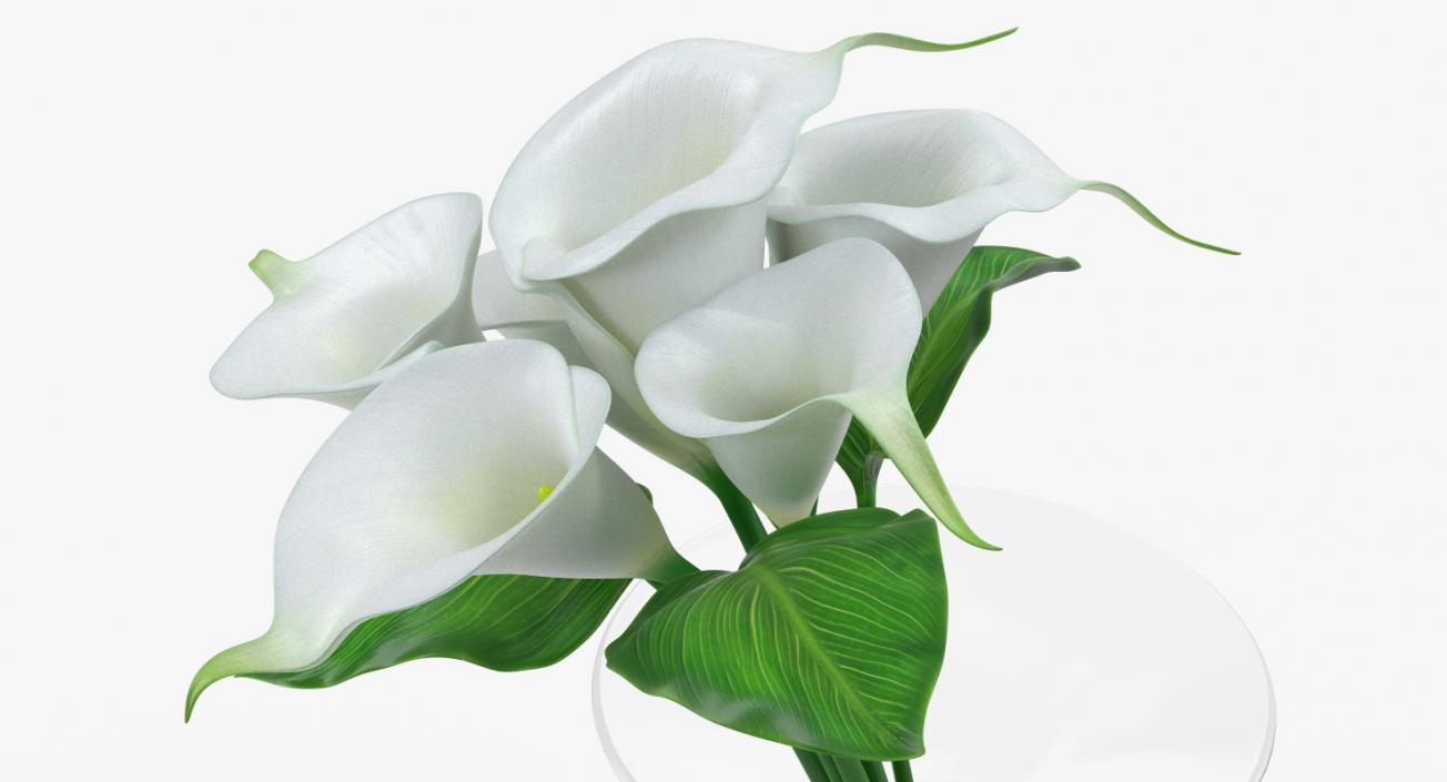 Calla Lilies Bouquet in Glass Vase 3D model