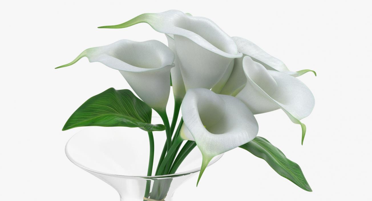 Calla Lilies Bouquet in Glass Vase 3D model