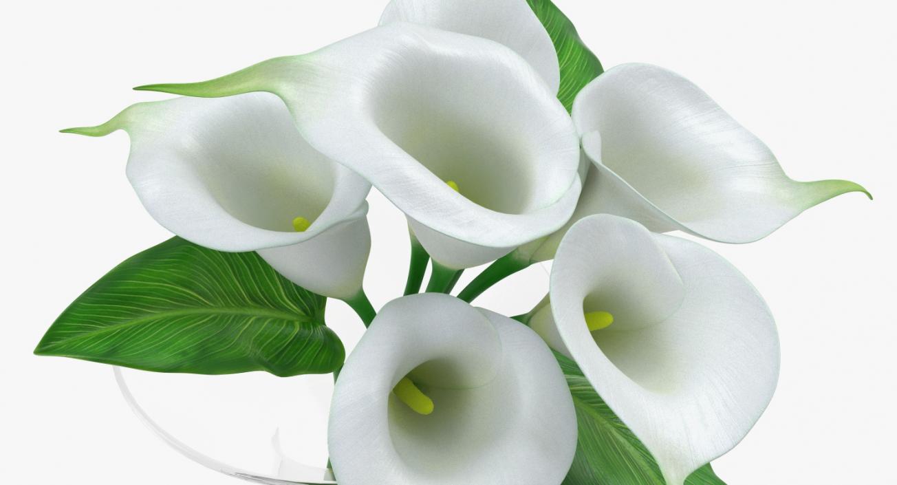 Calla Lilies Bouquet in Glass Vase 3D model