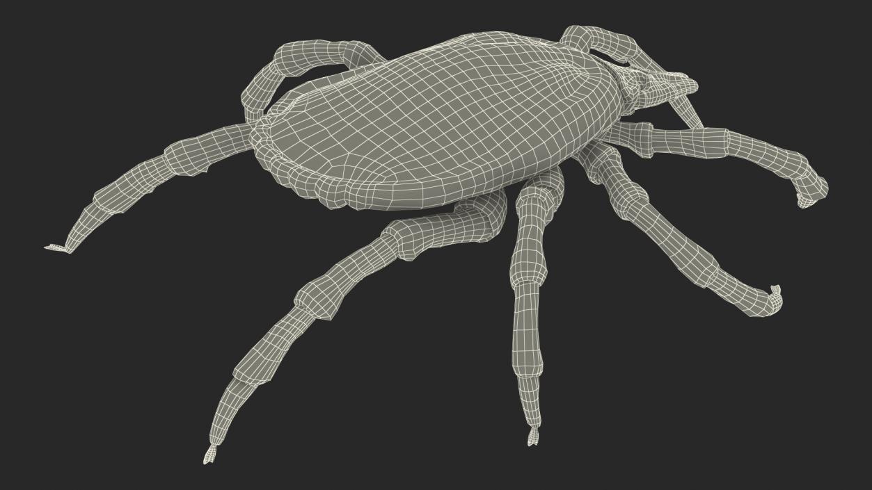 3D model Tick Fur Rigged