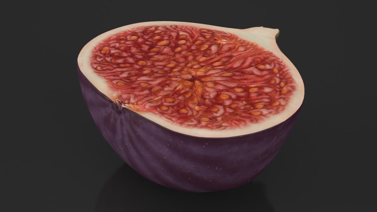 3D Black Mission Fig Fruit Half model