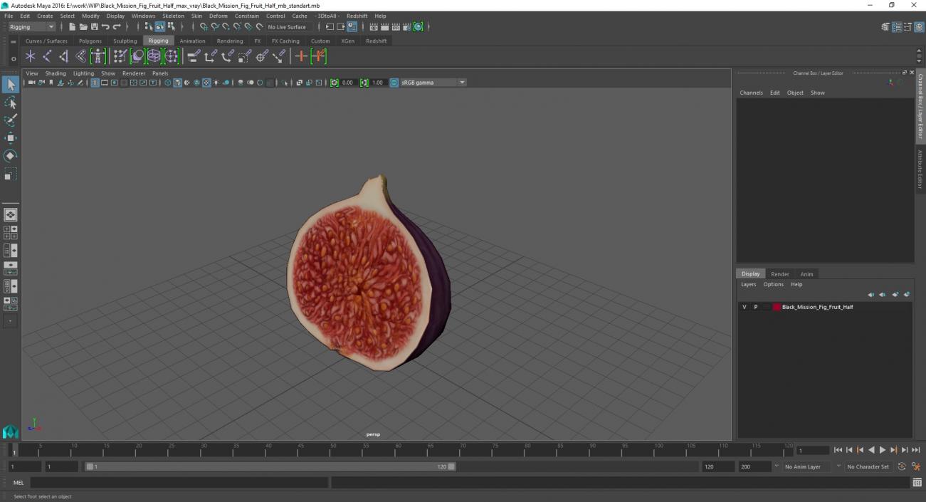 3D Black Mission Fig Fruit Half model