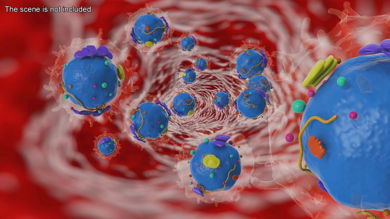 3D Lymphocyte Blood Cell