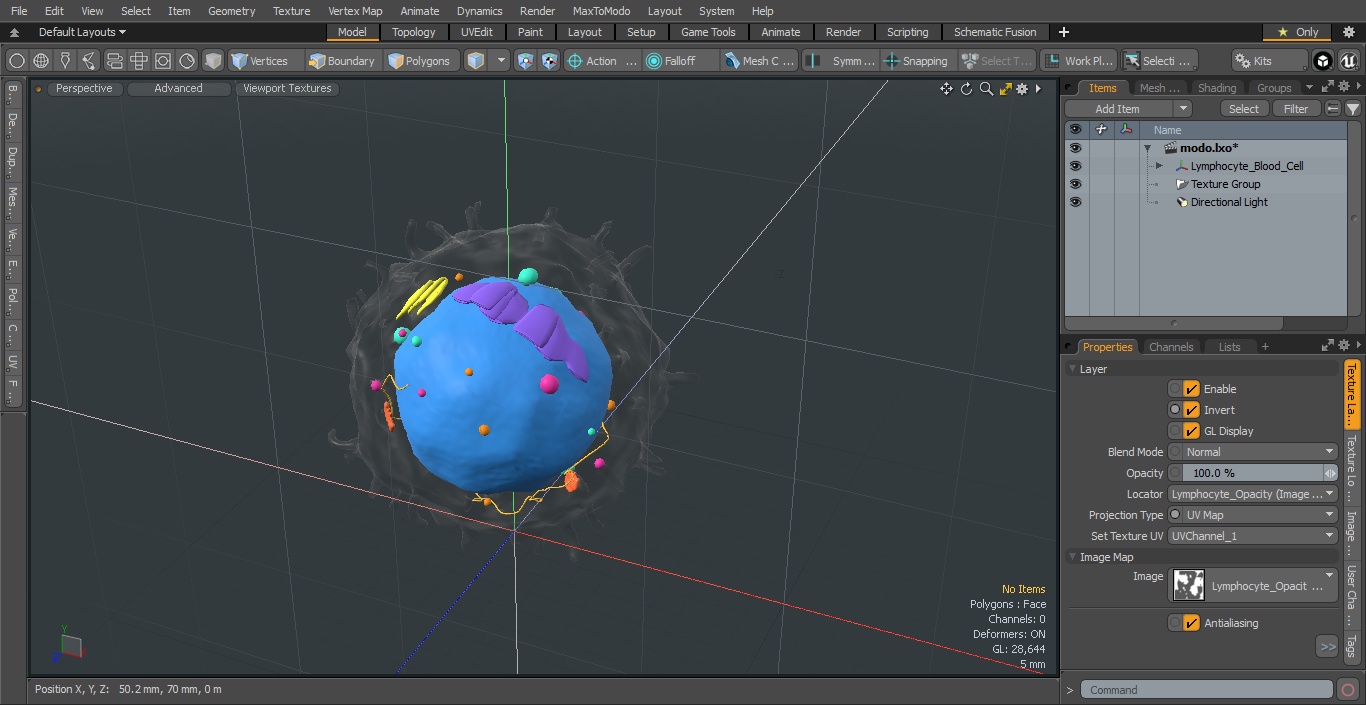 3D Lymphocyte Blood Cell