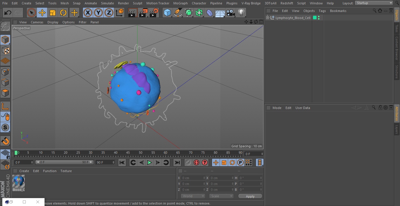 3D Lymphocyte Blood Cell