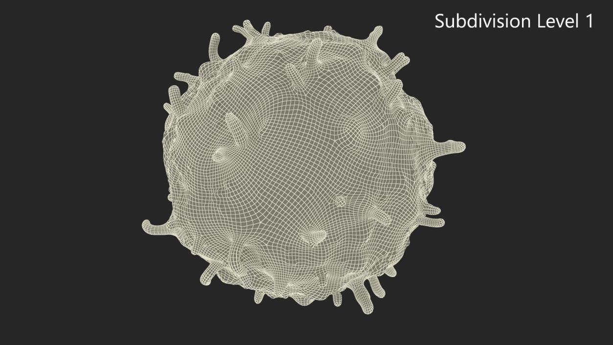 3D Lymphocyte Blood Cell