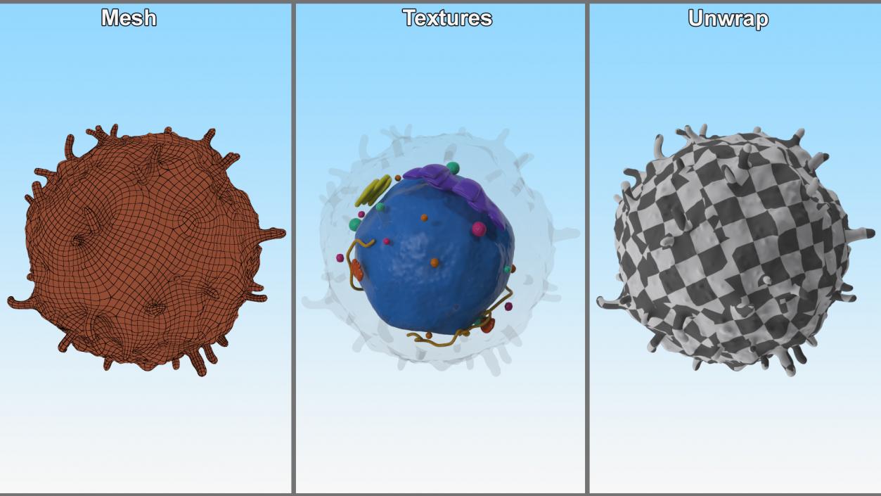 3D Lymphocyte Blood Cell