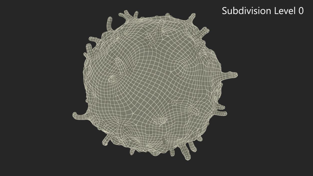 3D Lymphocyte Blood Cell