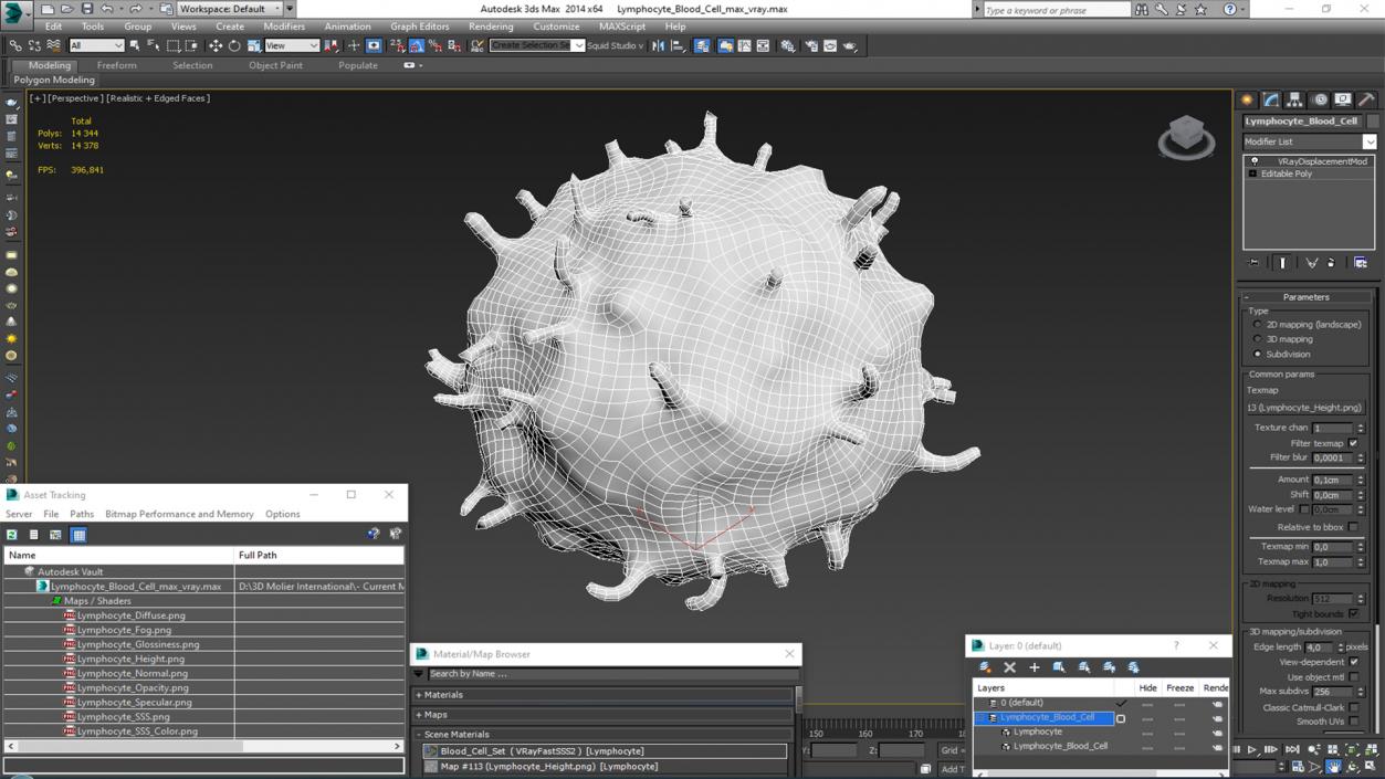 3D Lymphocyte Blood Cell