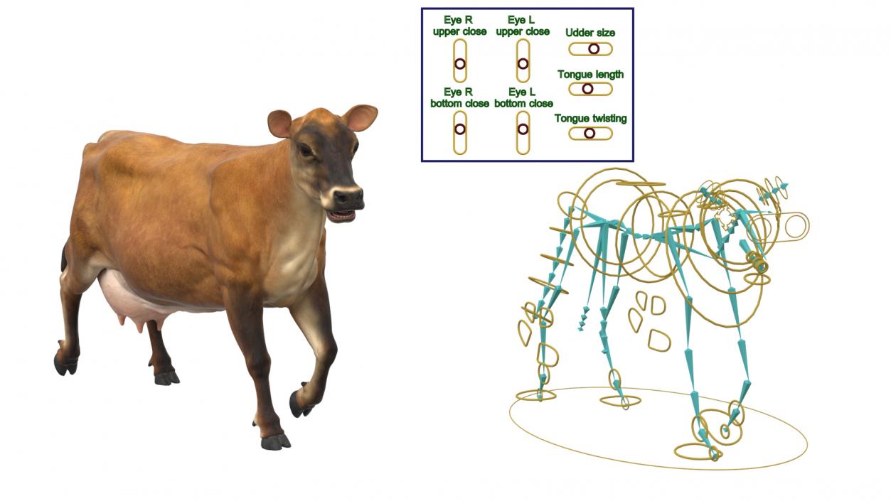 3D Jersey Dairy Cow Rigged model