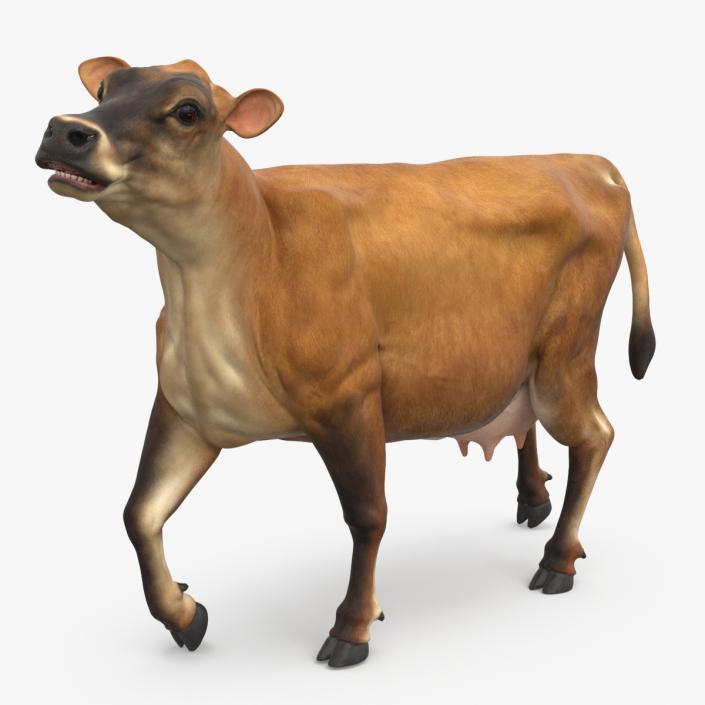 3D Jersey Dairy Cow Rigged model