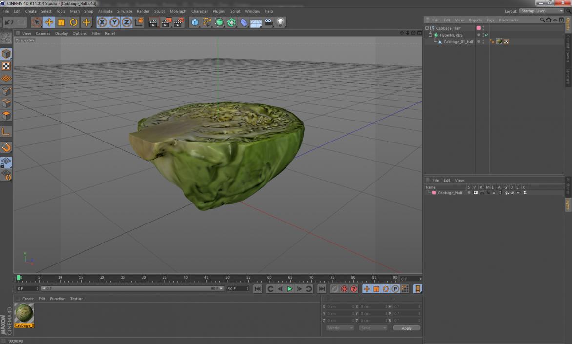 Cabbage Half 3D