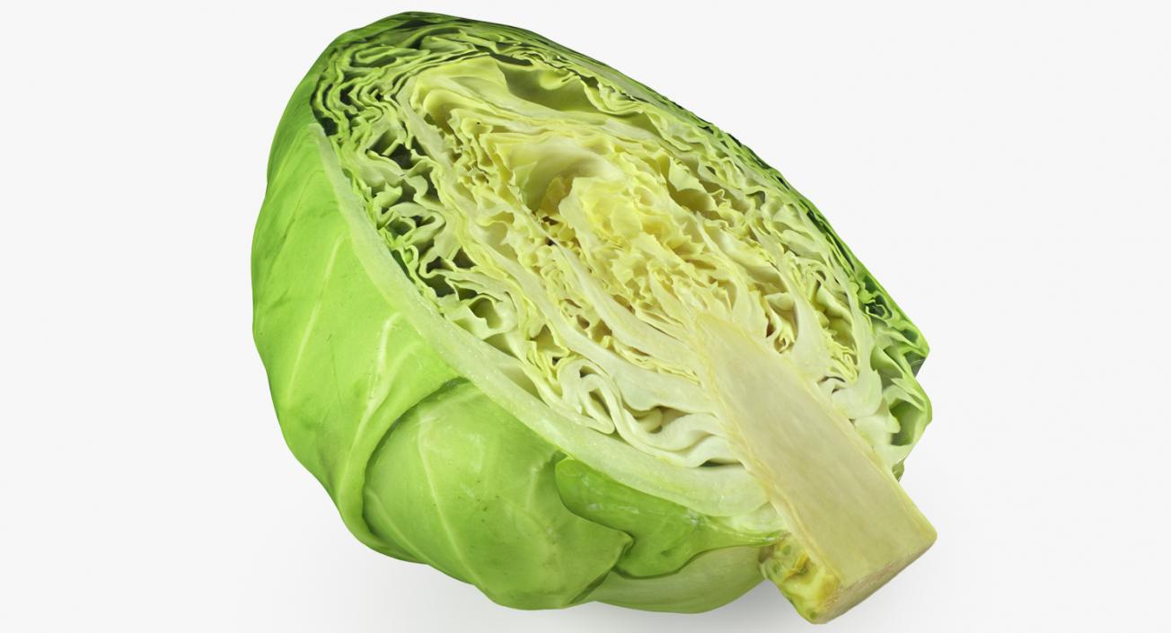 Cabbage Half 3D