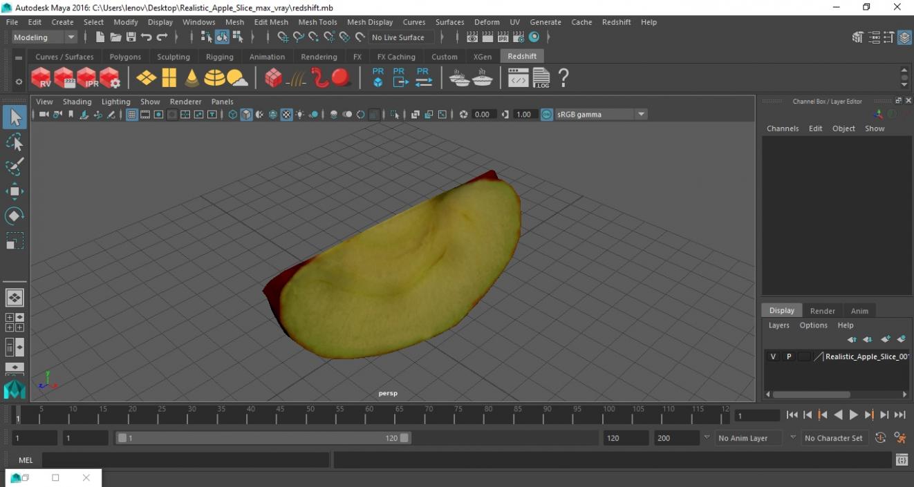 3D Realistic Apple Slice