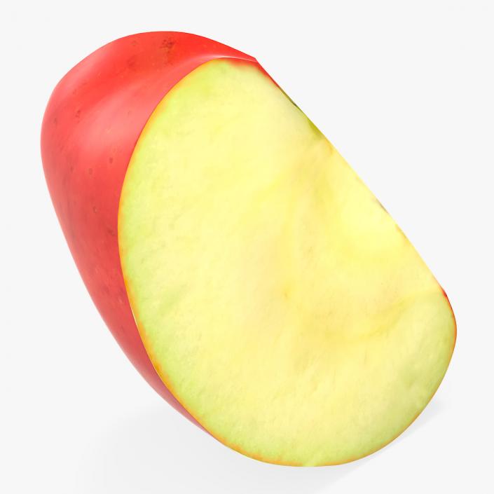 3D Realistic Apple Slice