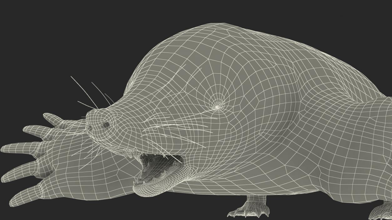 Mole Animal Fur Rigged 2 3D model