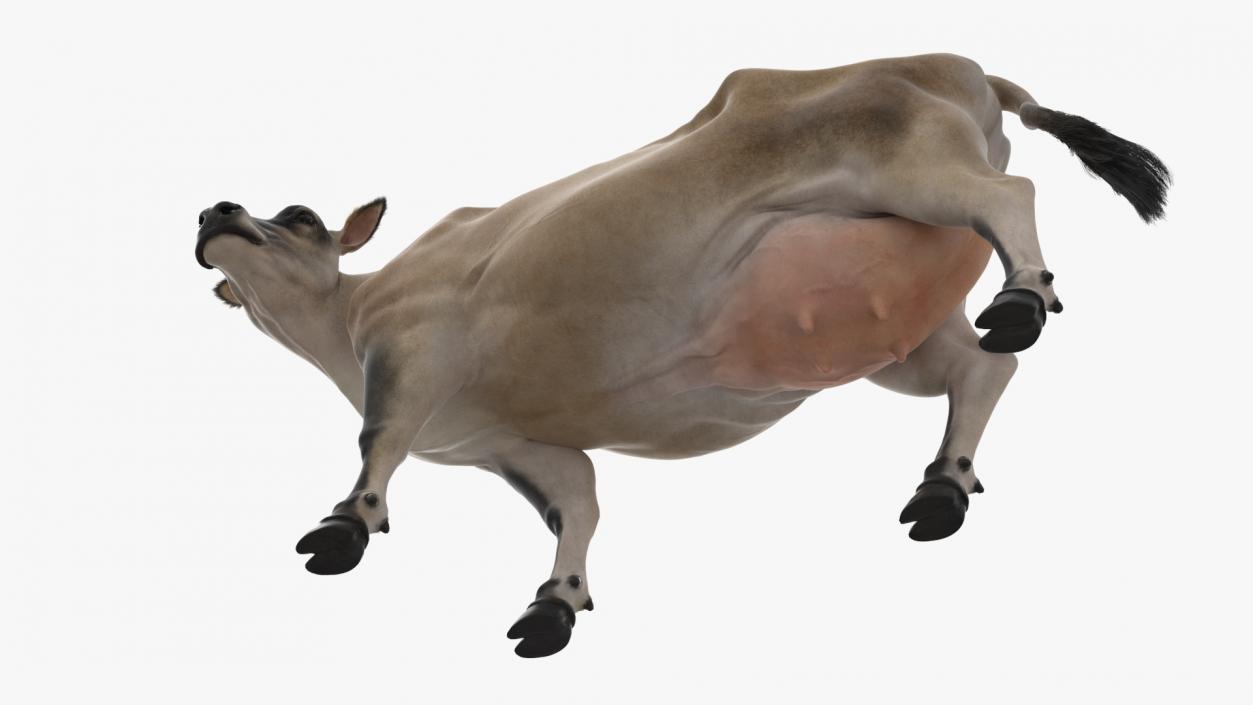 3D Channel Island Cow Beige Fur model