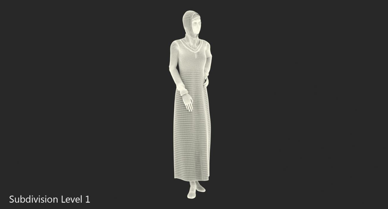 3D Arab Young Woman Rigged model