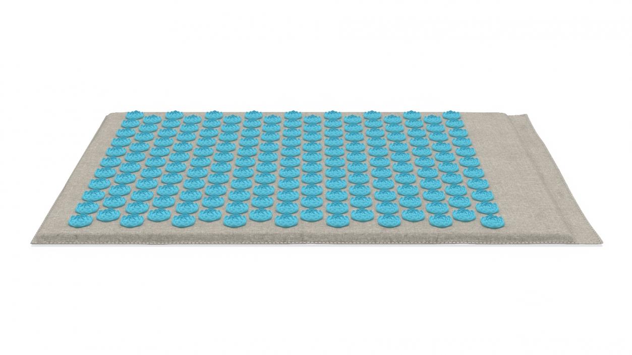 3D Relaxation Mat Acupuncture Blue 2 model