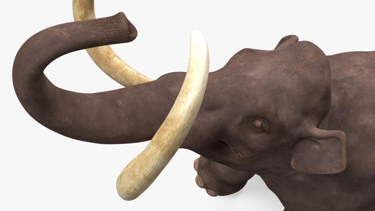 Mammoth Roar Pose 3D