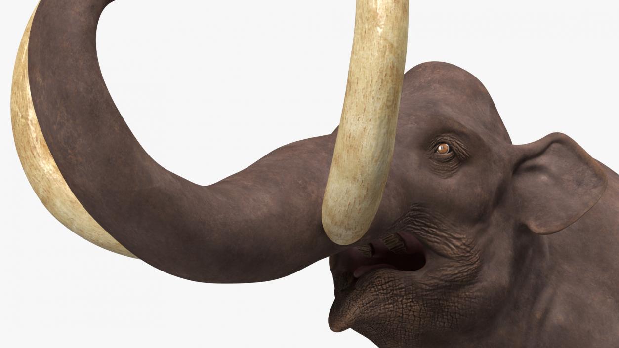 Mammoth Roar Pose 3D