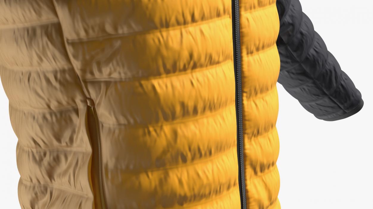 3D Yellow Jacket model