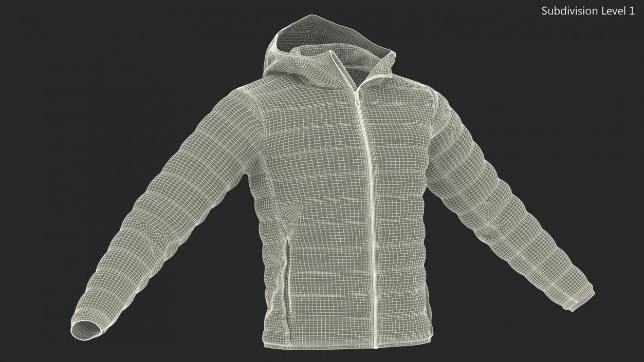 3D Yellow Jacket model